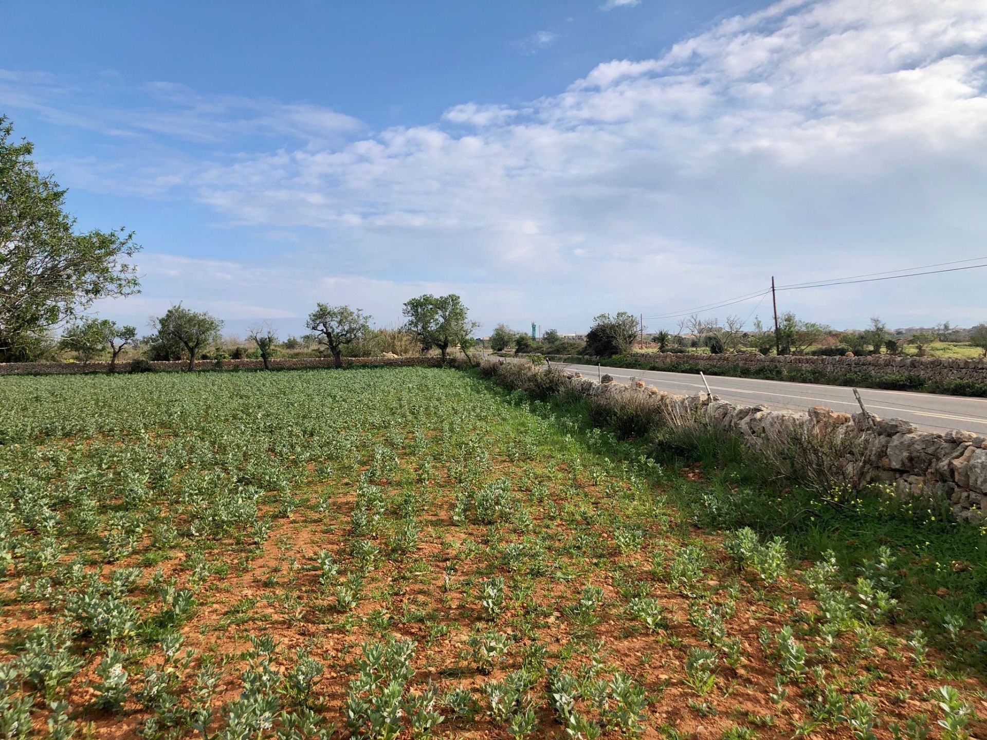 Terreno en venta en Santanyí