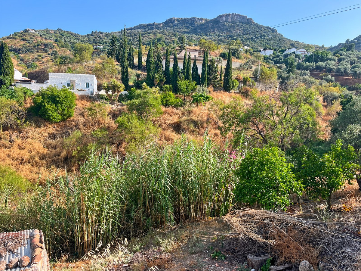 Finca de 5 Dormitorios en venta en Comares