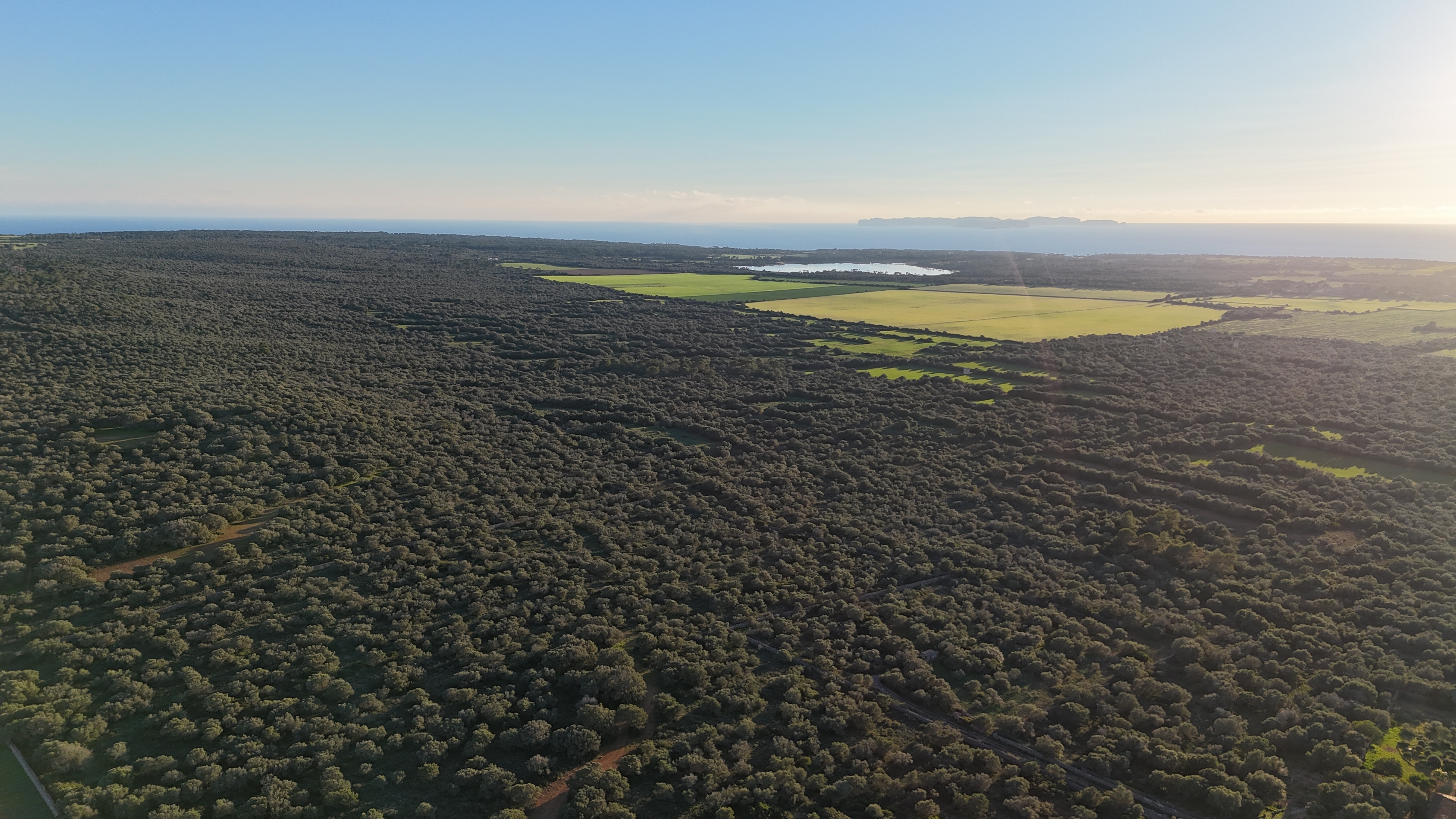 Участок для продажи в Ses Salines
