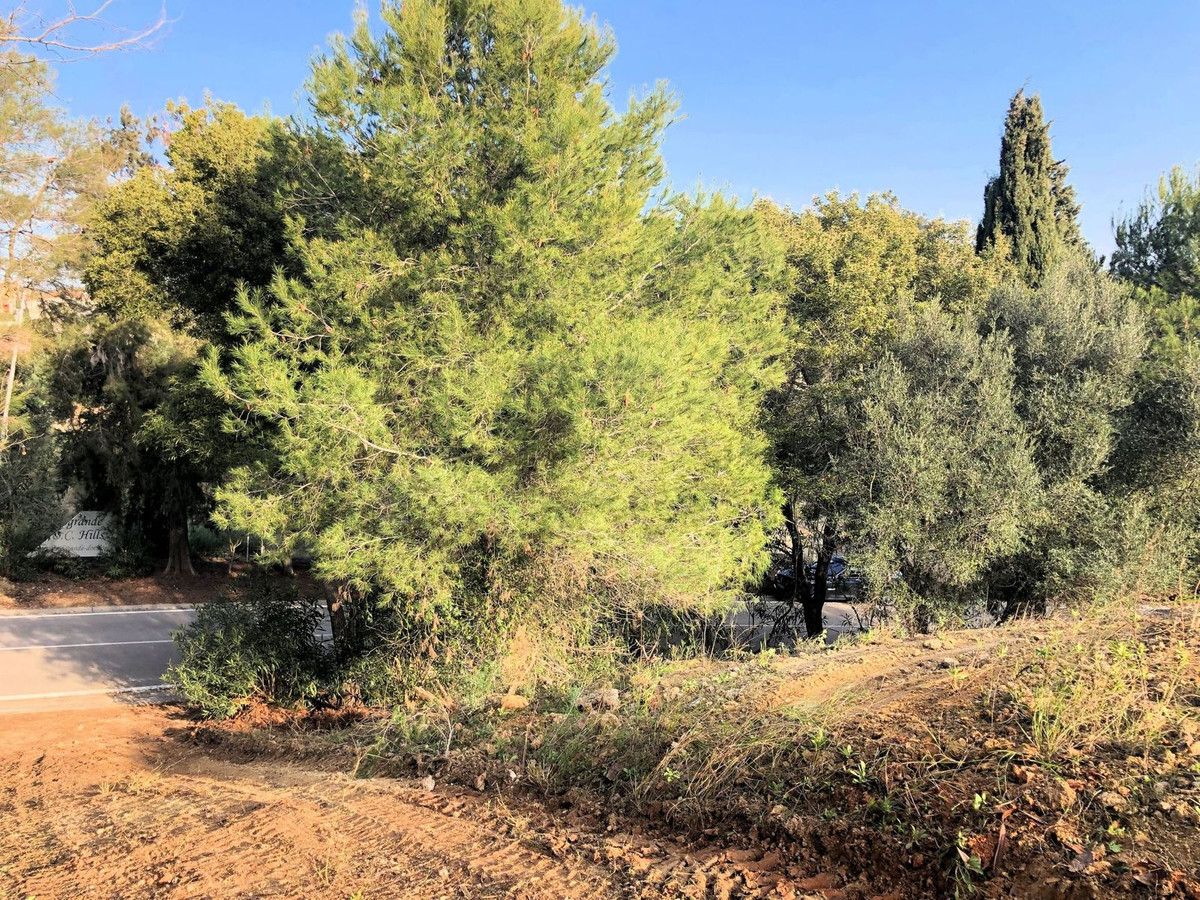 Terreno en venta en Sotogrande Alto