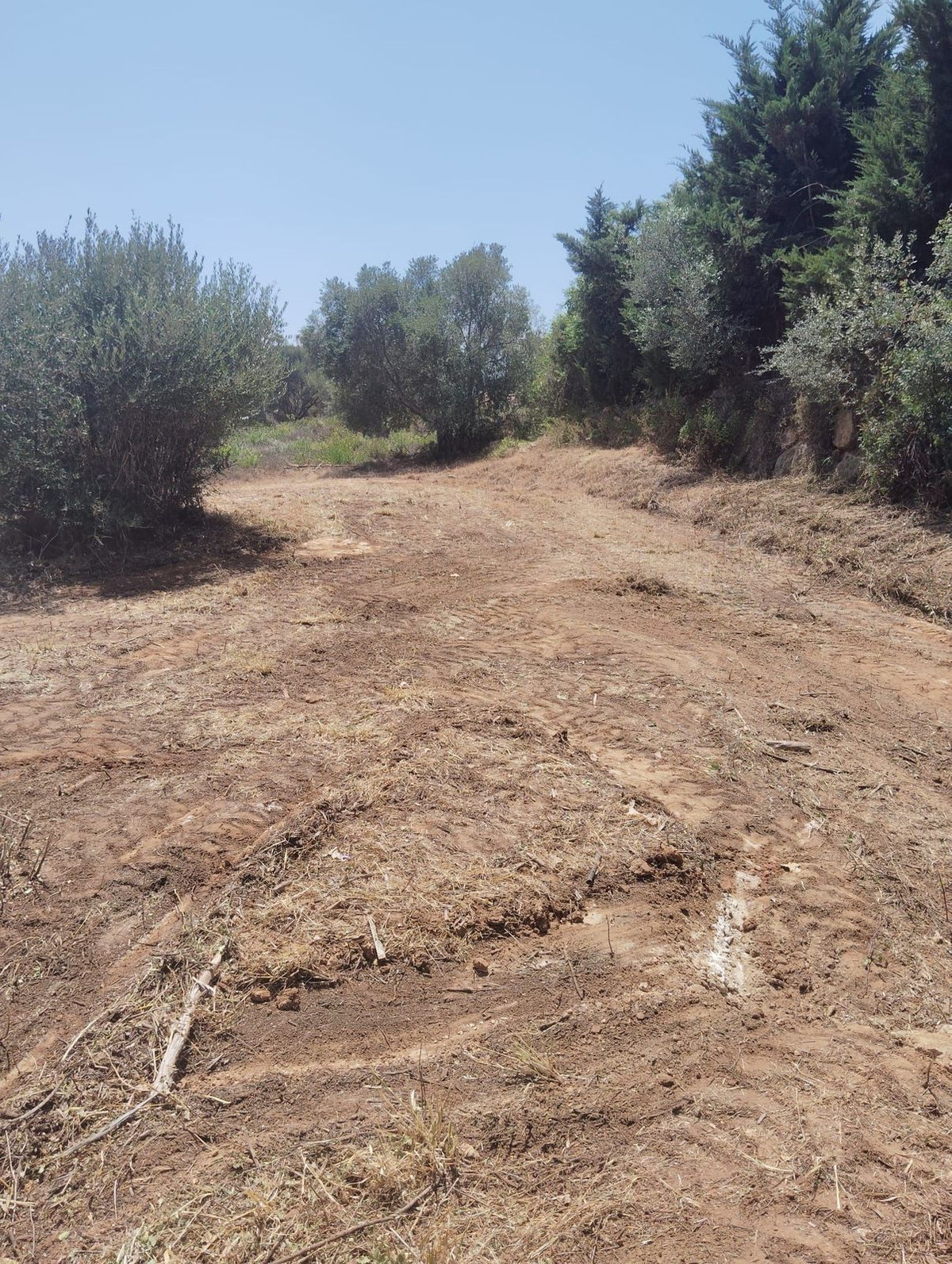 Terreno en venta en Sotogrande Alto