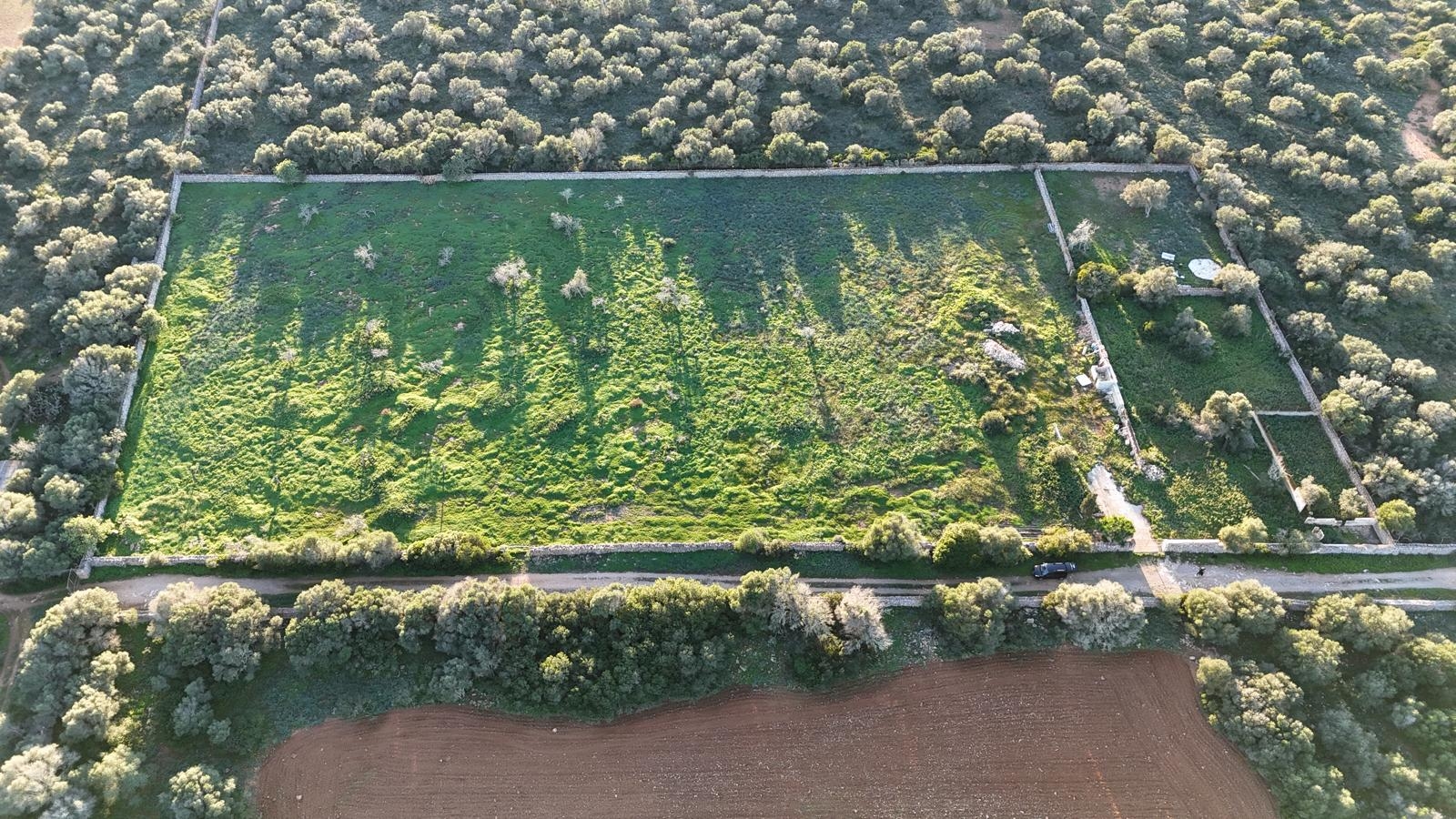 Участок для продажи в Ses Salines