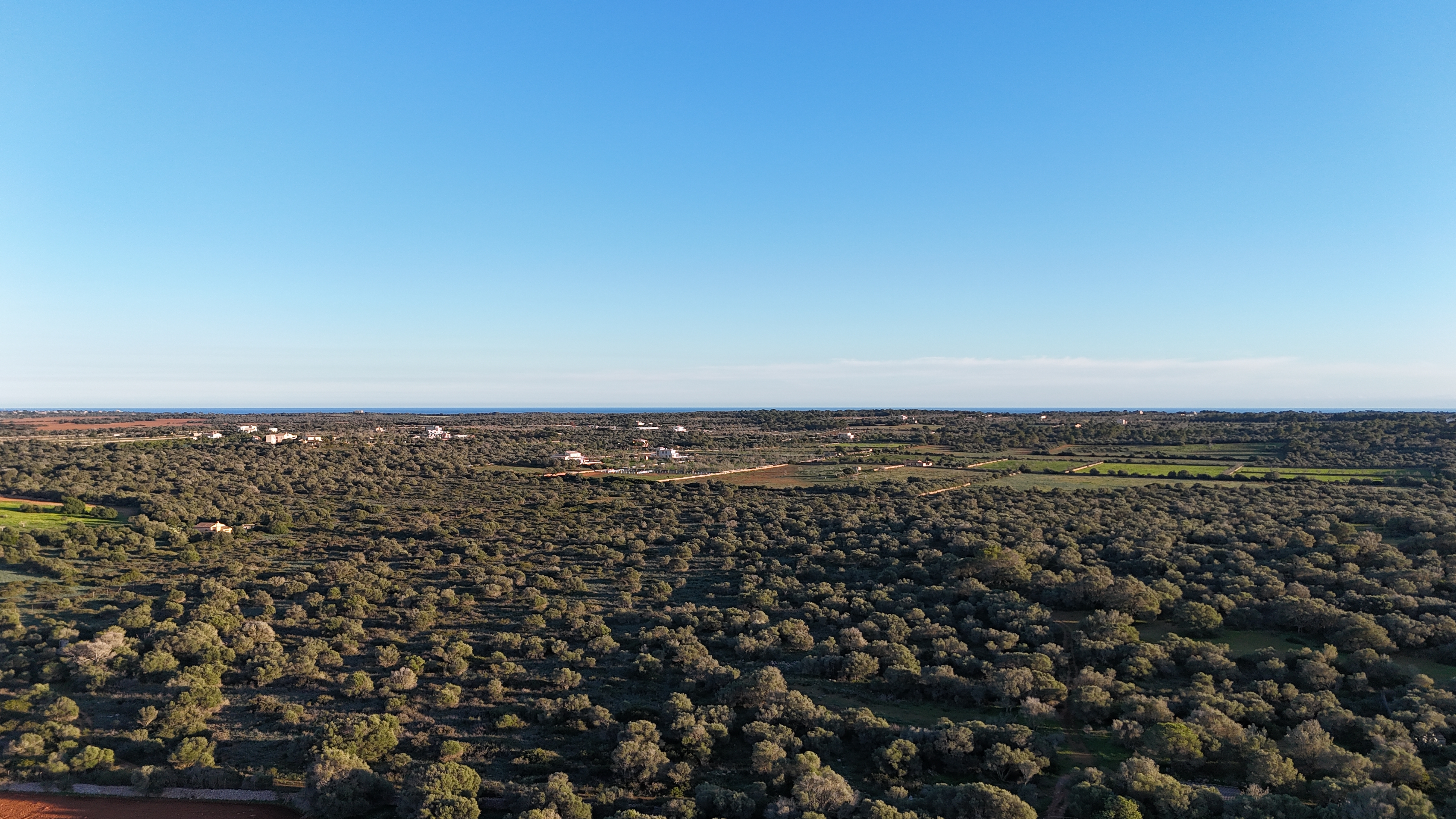 Участок для продажи в Ses Salines