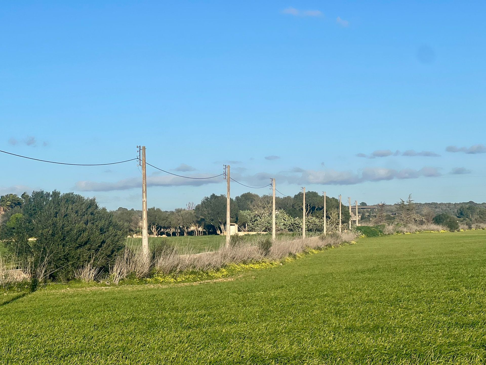Finca en venta en Campos