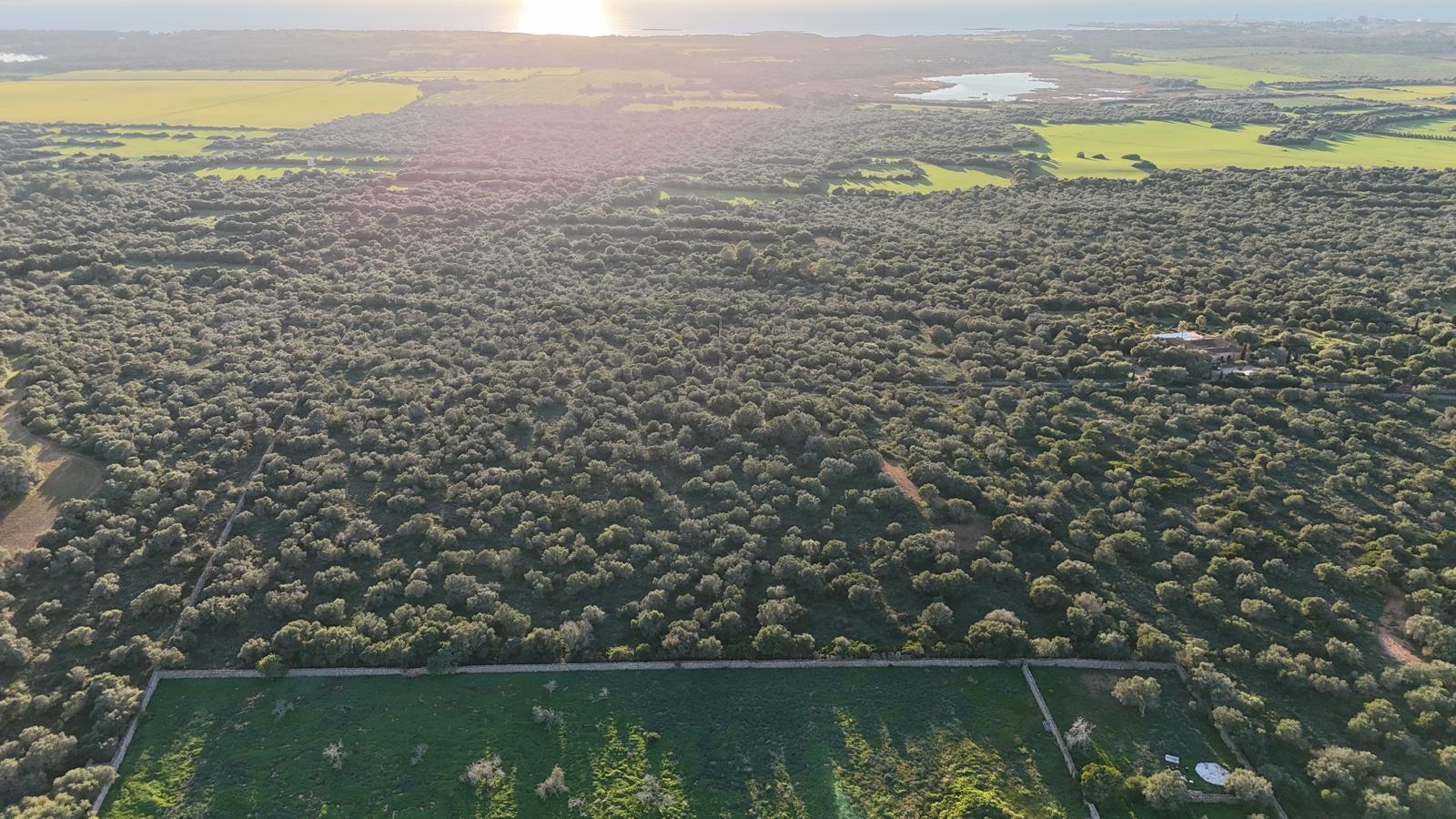 Участок для продажи в Ses Salines