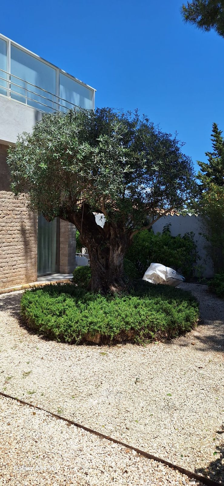 5 спални, 5 бани - Вила Ваканционен наем в Nueva Andalucia, Marbella