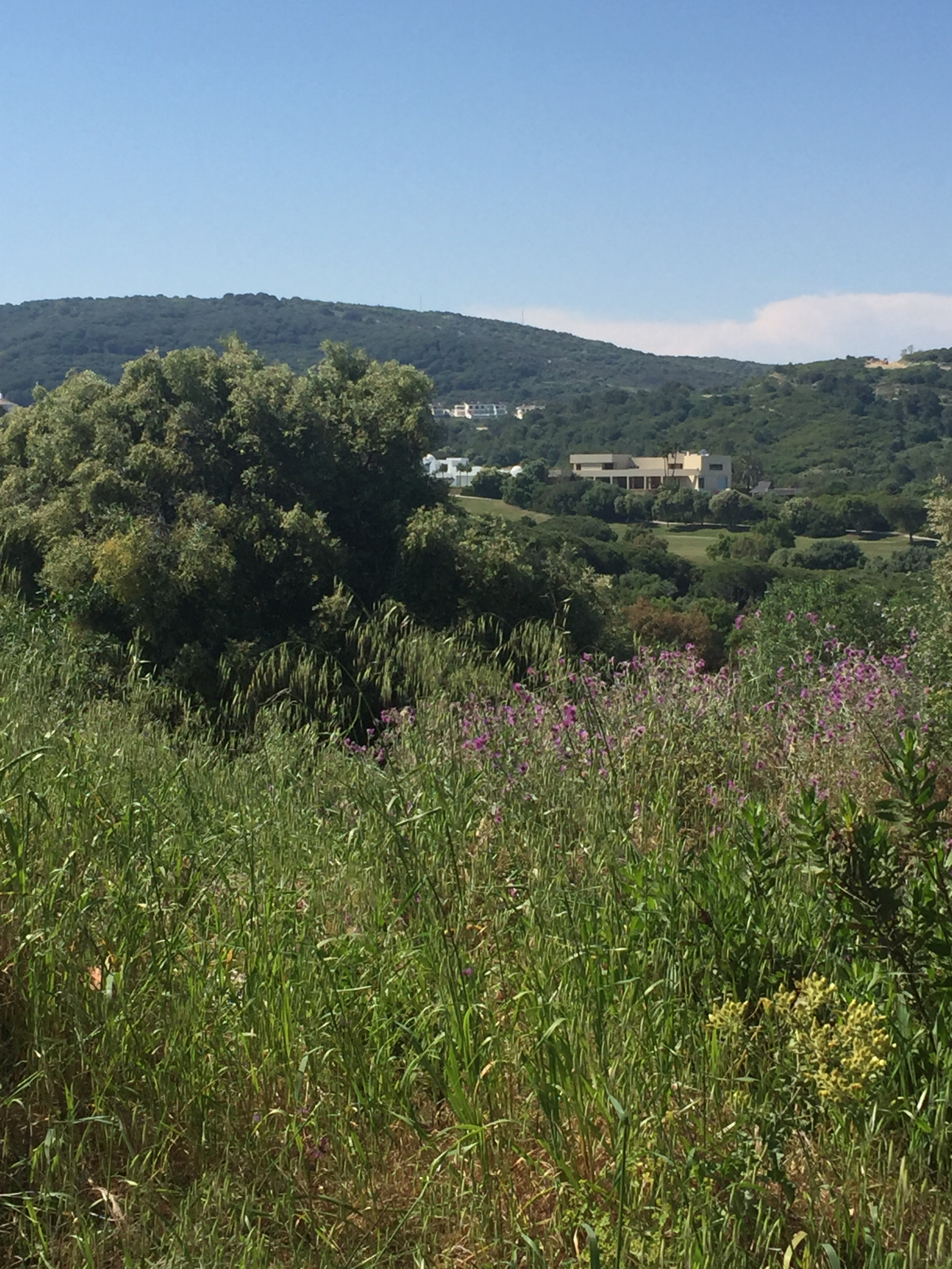 Terreno en venta en Sotogrande Alto
