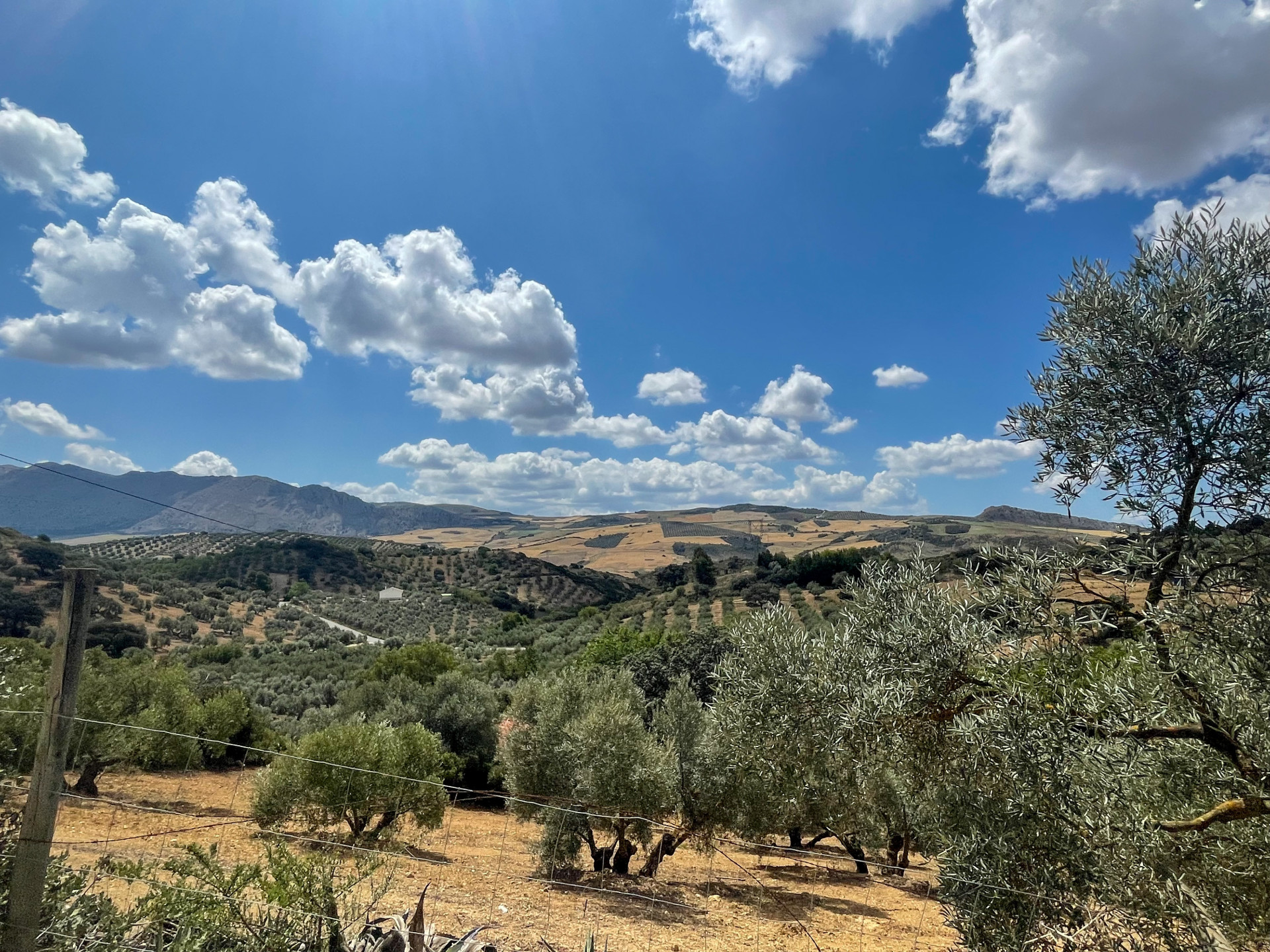 6 Bed, 3 Bath - Country House for Sale in Antequera