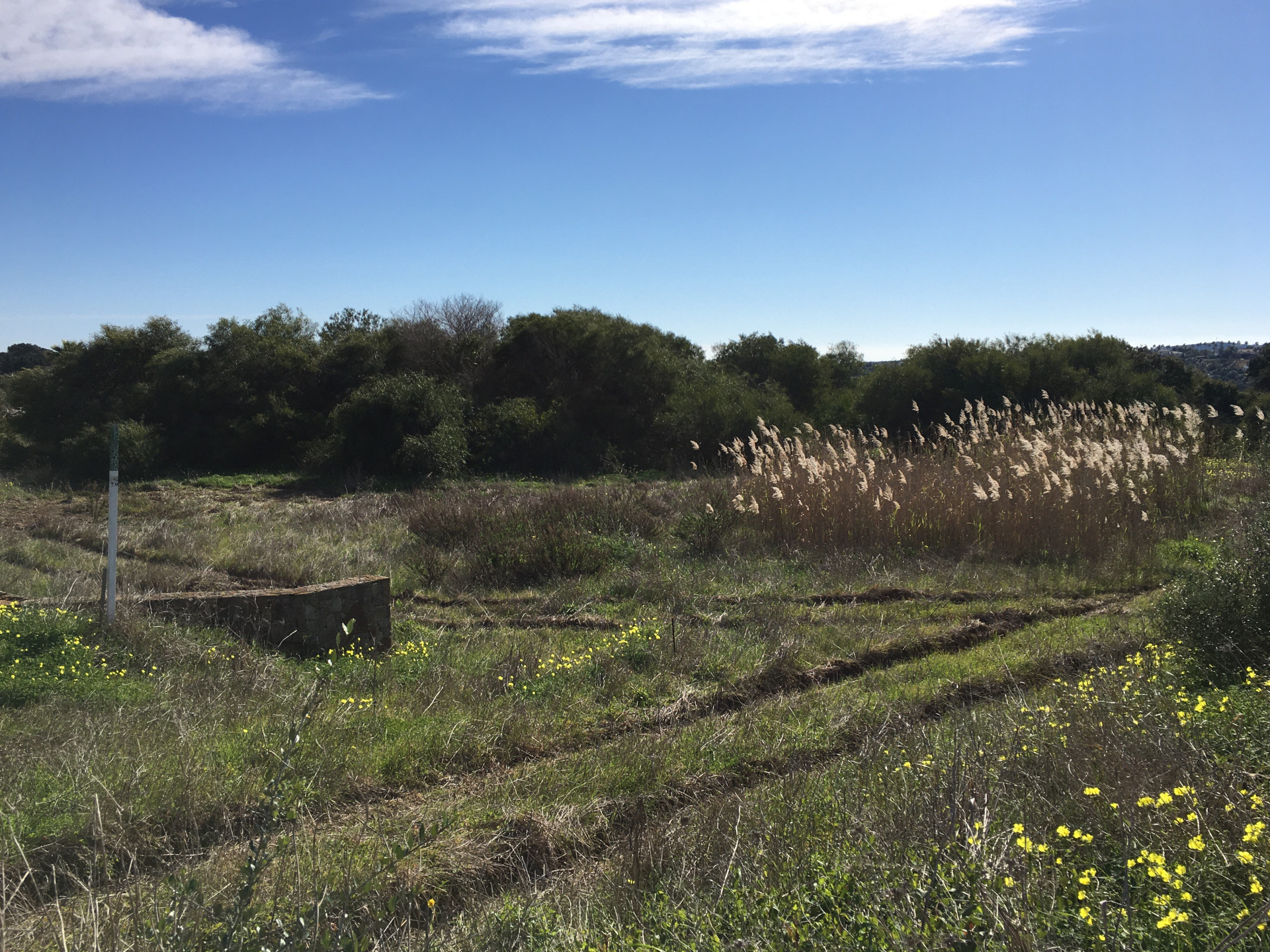 Plot for Sale in La Reserva, Sotogrande