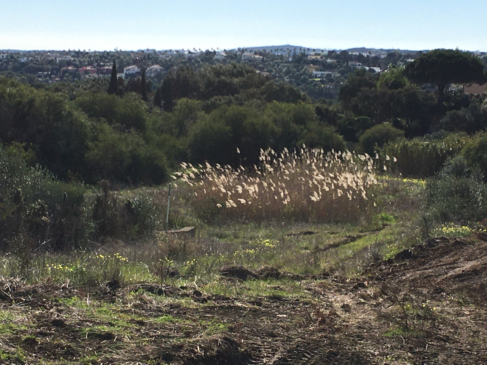 Plot for Sale in La Reserva, Sotogrande