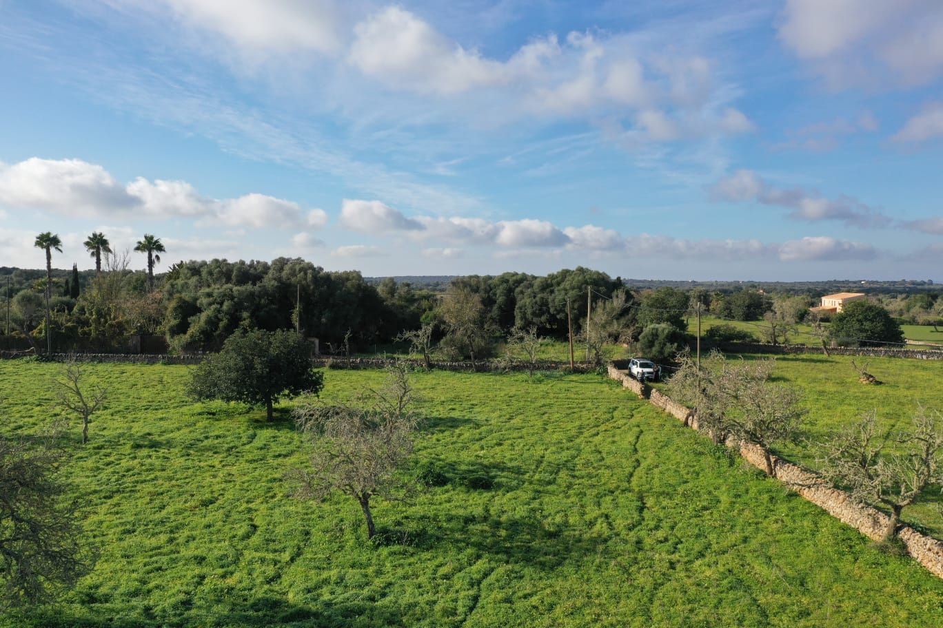 Finca de 4 Dormitorios y 5 Baños en venta en Felanitx