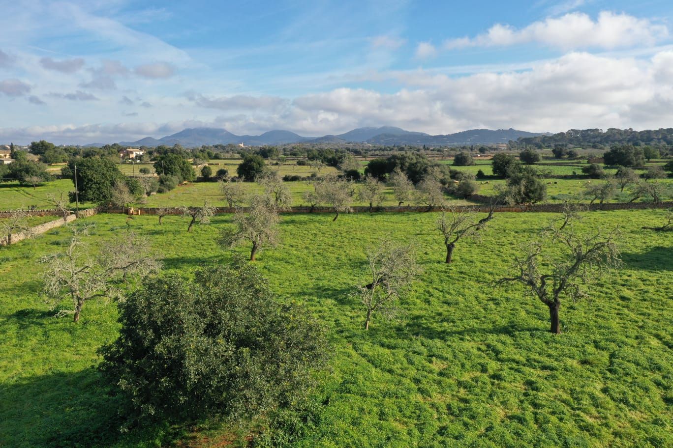 Finca de 4 Dormitorios y 5 Baños en venta en Felanitx