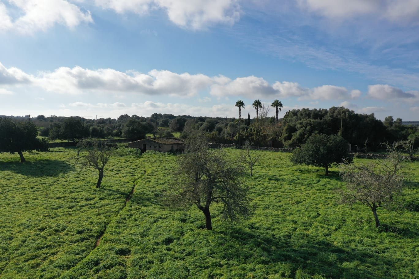 Finca de 4 Dormitorios y 5 Baños en venta en Felanitx