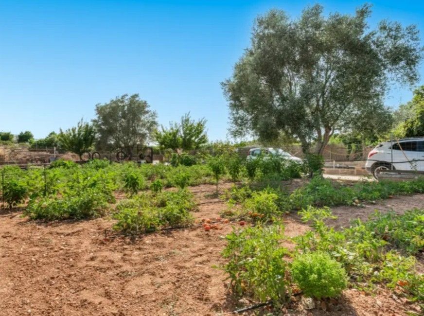 3 Bed - Country House for Sale in Manacor