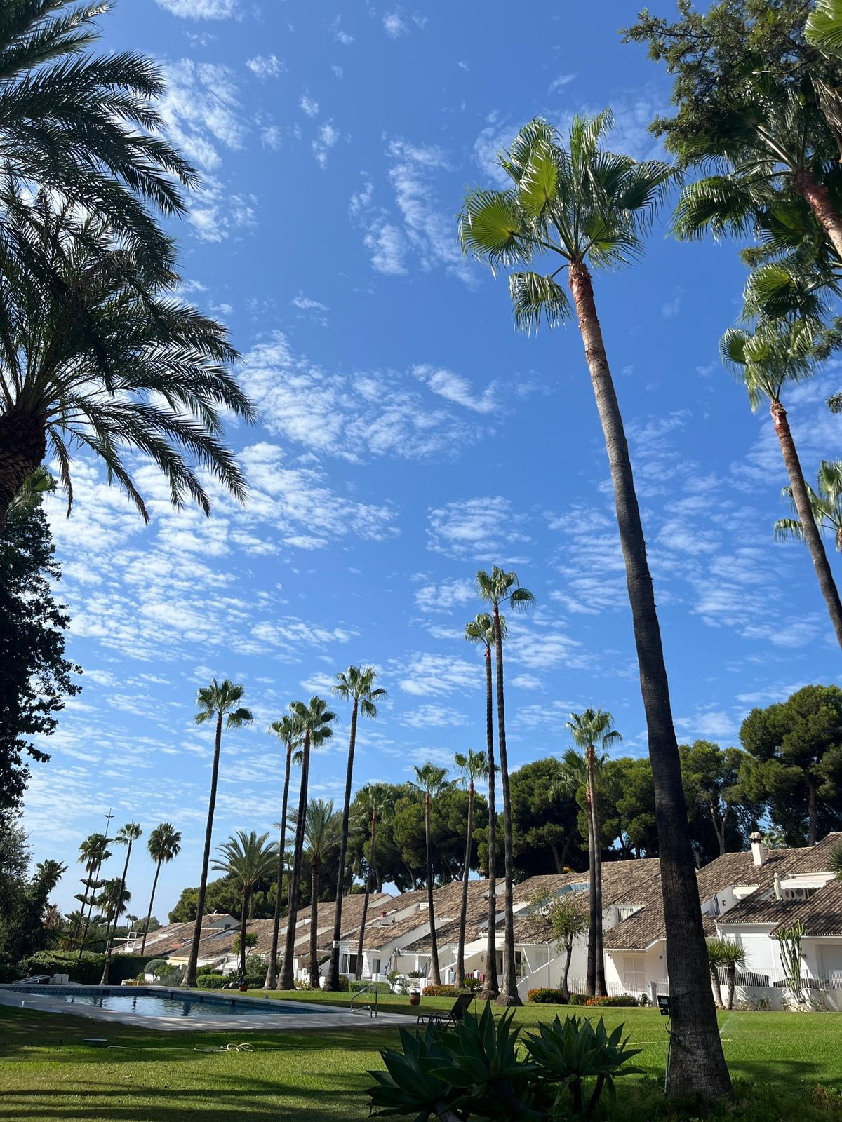 Piso de 2 Dormitorios en alquiler en Nueva Andalucía, Marbella
