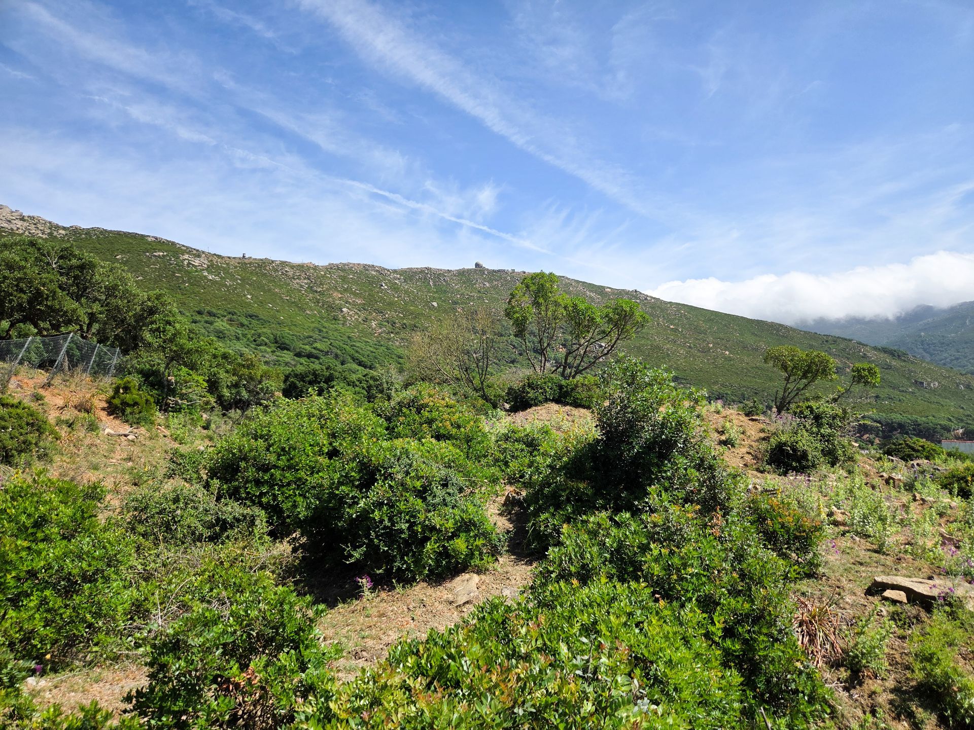 Terreno en venta en Tarifa