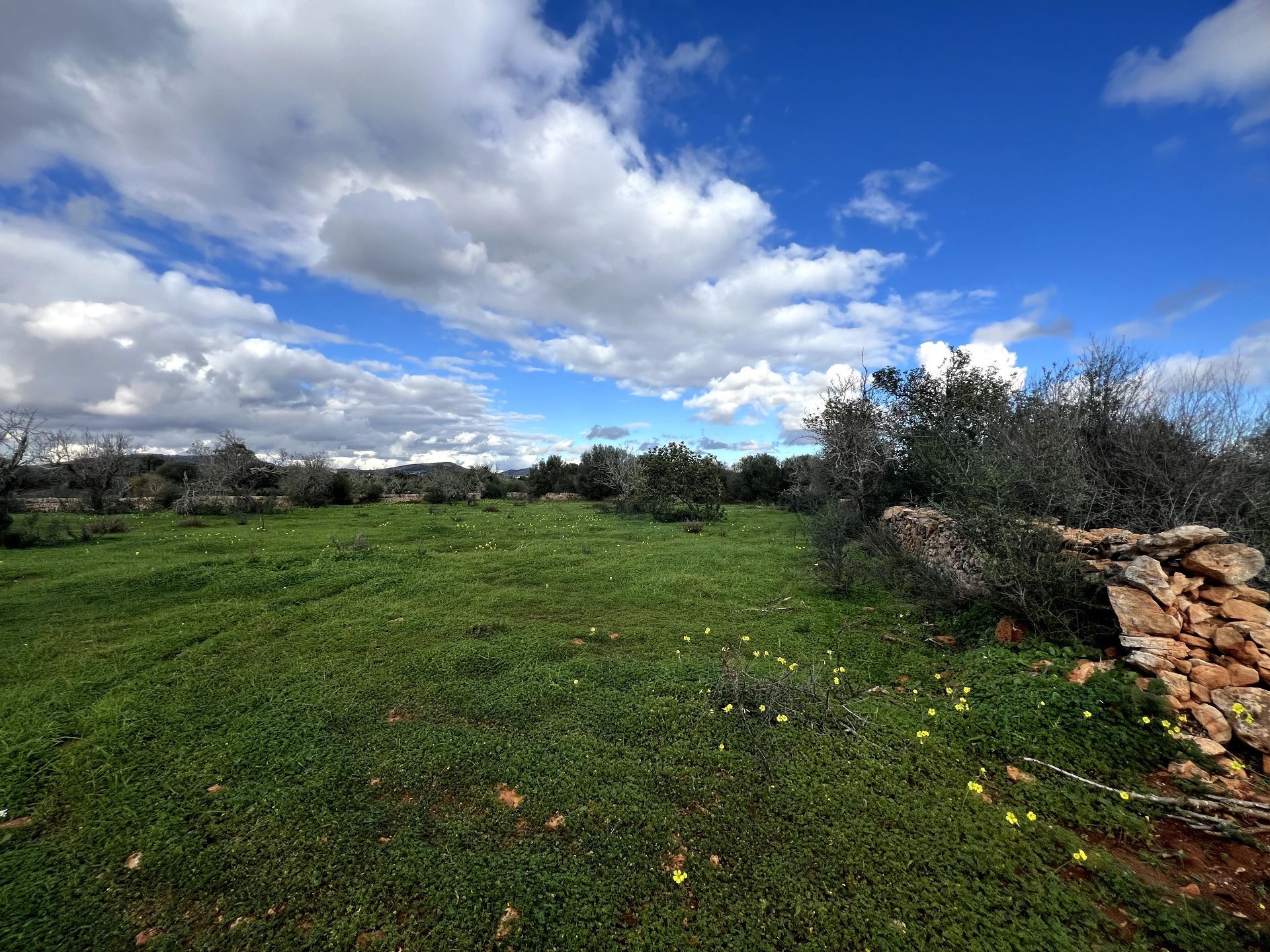 Terreno en venta en Santanyí