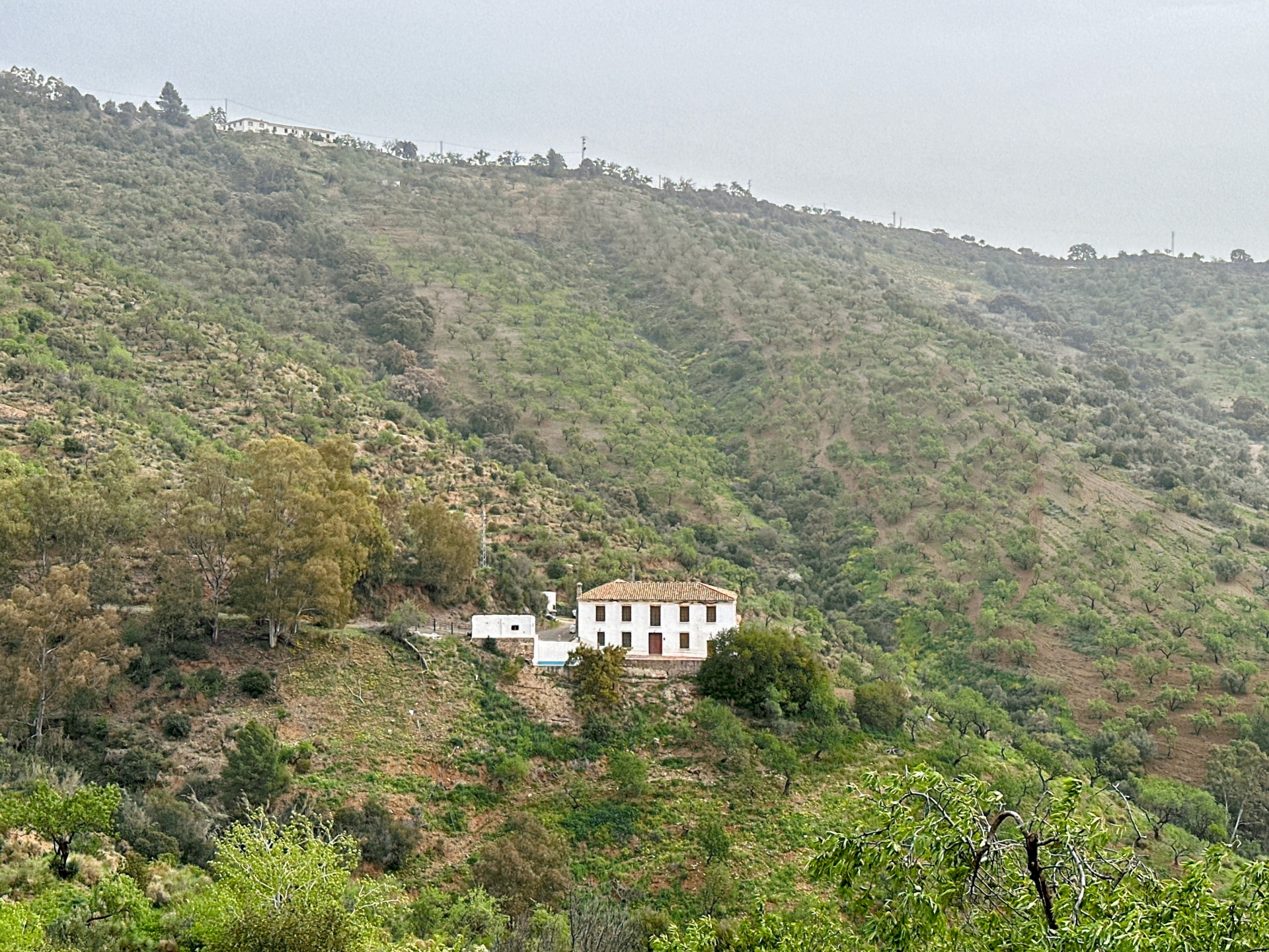 Finca de 8 Dormitorios y 3 Baños en venta en Málaga Este