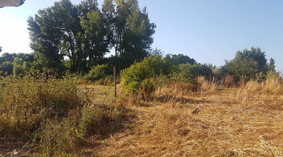 Terreno en venta en Coin
