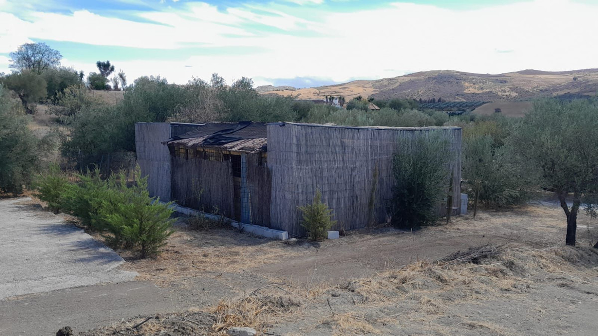 Plot for Sale in Casarabonela