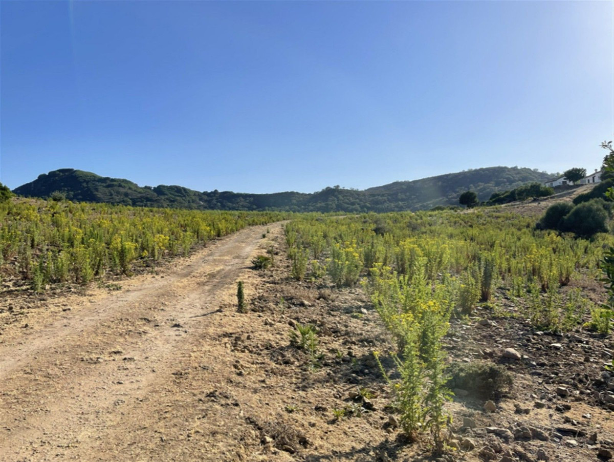 3 спални, 2 бани - Селска къща за продажба в Castellar de la Frontera