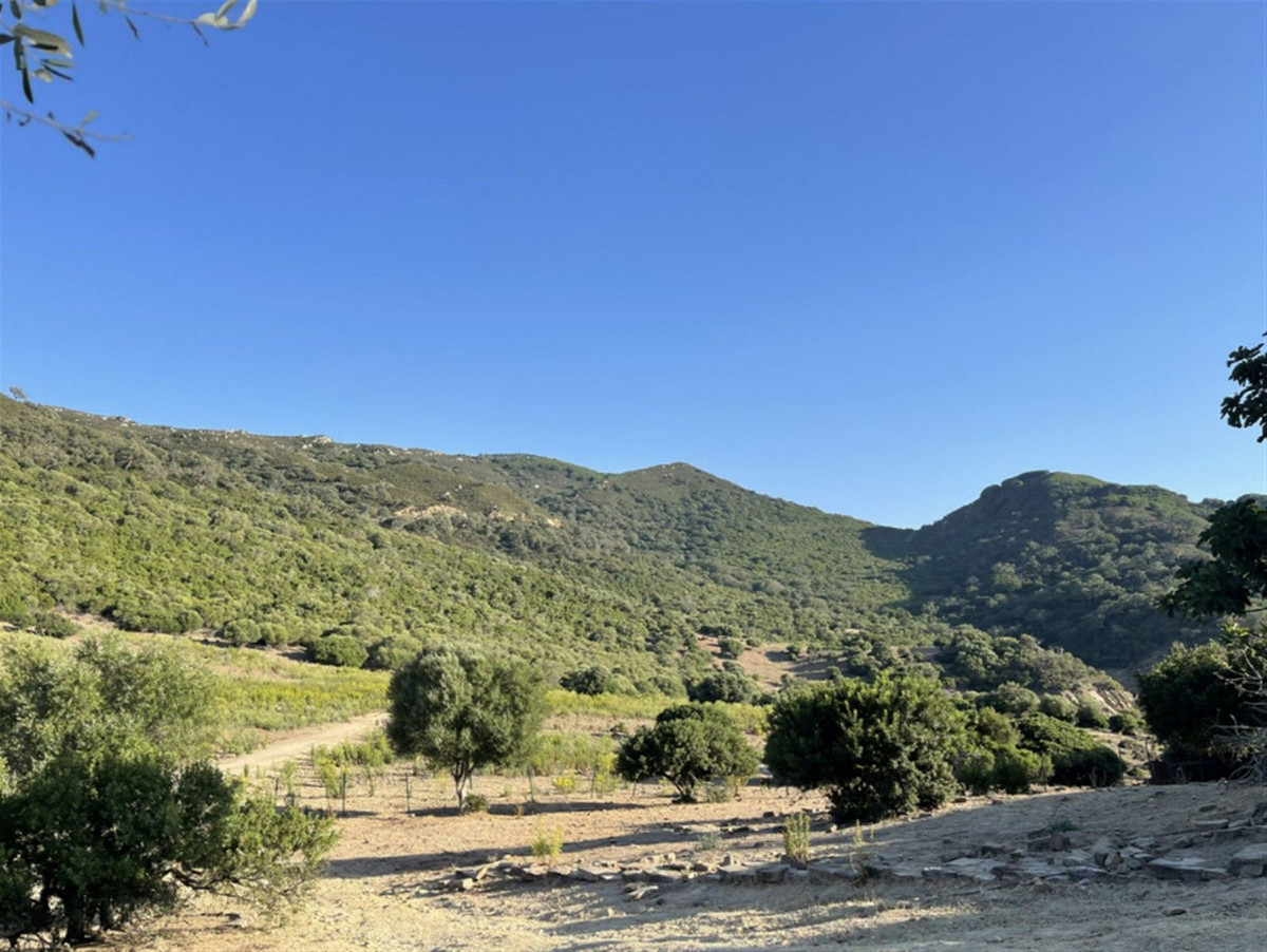 3 спални, 2 бани - Селска къща за продажба в Castellar de la Frontera