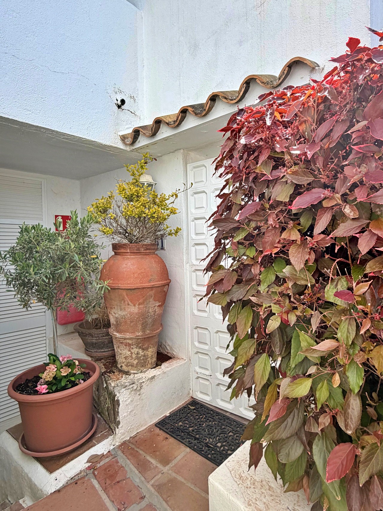 Piso de 1 Dormitorio en alquiler en Marbella