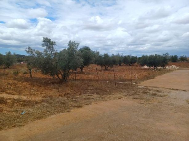 Finca de 3 Dormitorios en venta en Felanitx