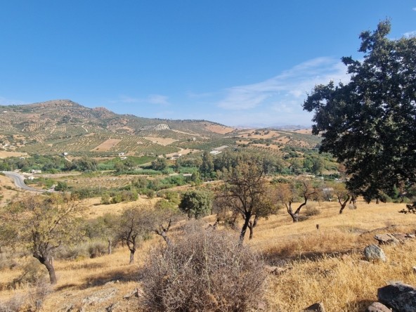 Terreno en venta en Guaro