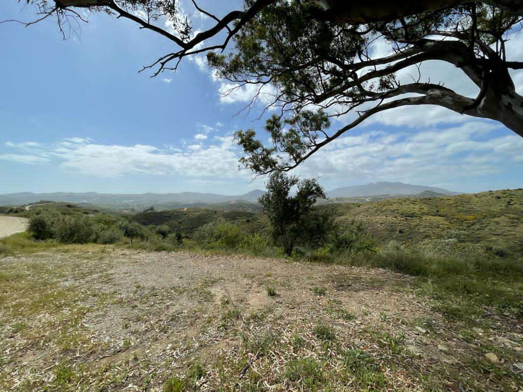 Plot for Sale in Mijas