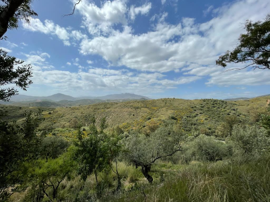 Plot for Sale in Mijas