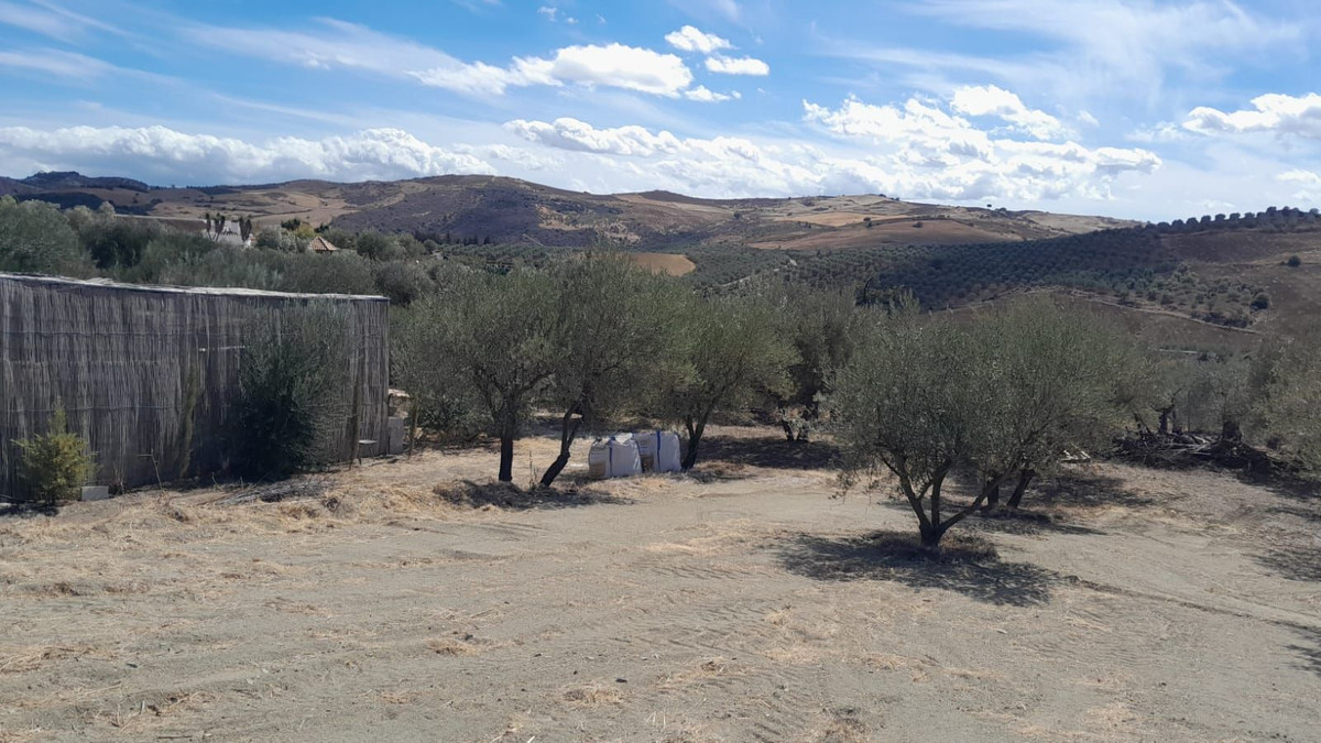 Plot for Sale in Casarabonela