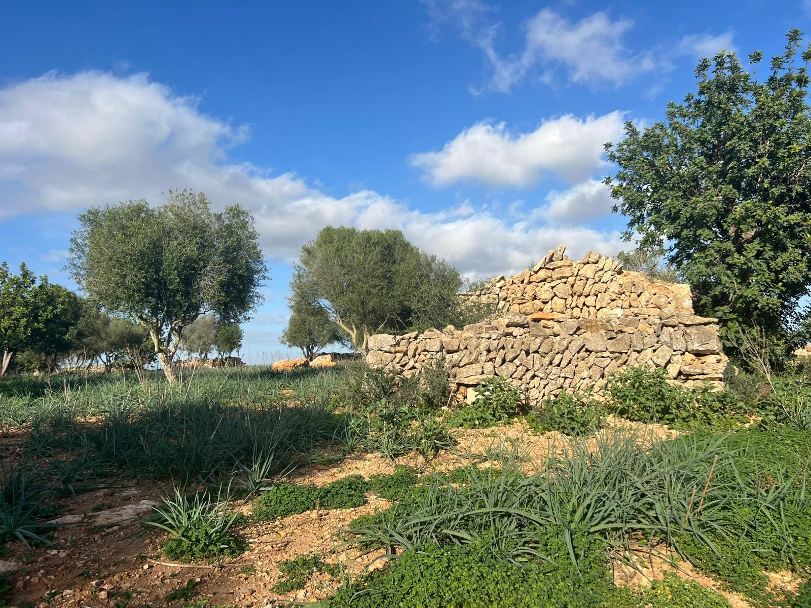 Terreno en venta en Santanyí