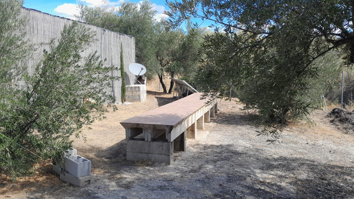 Plot for Sale in Casarabonela