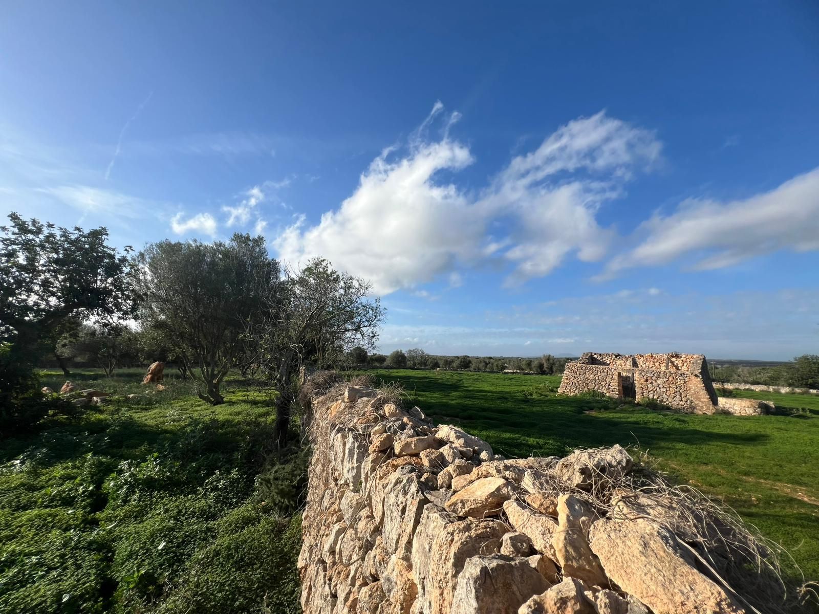Terreno en venta en Santanyí