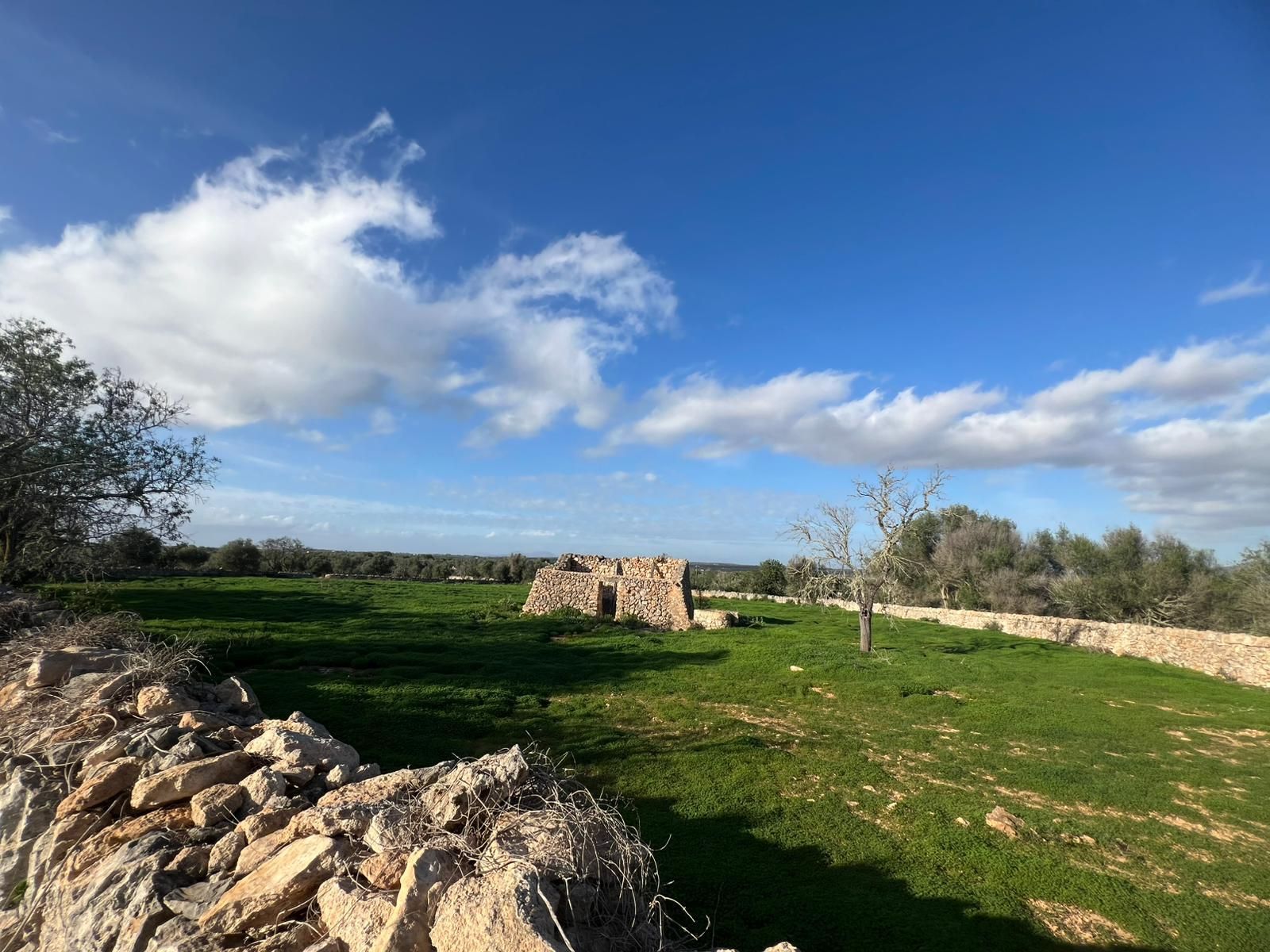 Terreno en venta en Santanyí