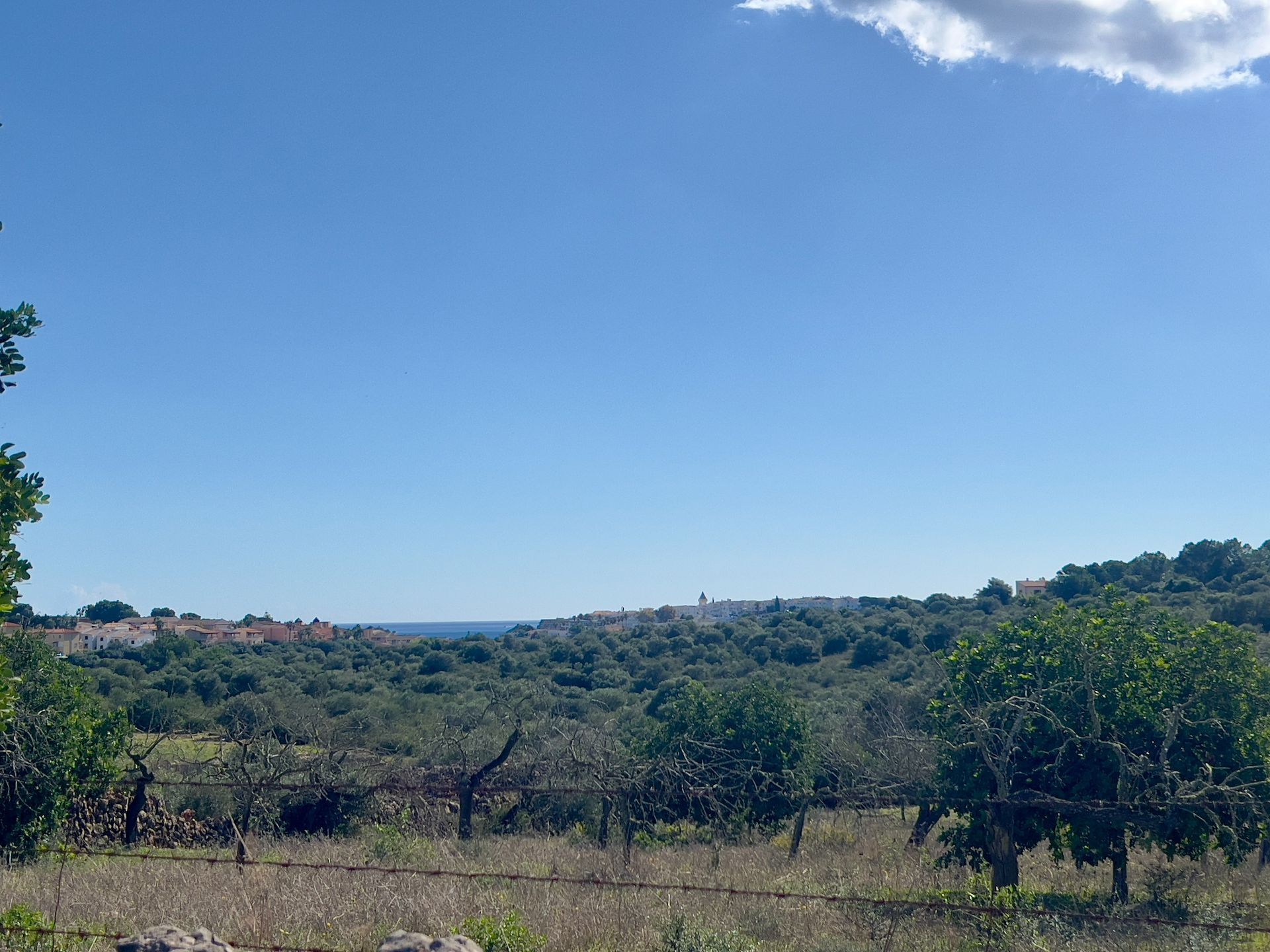 Terreno en venta en Manacor