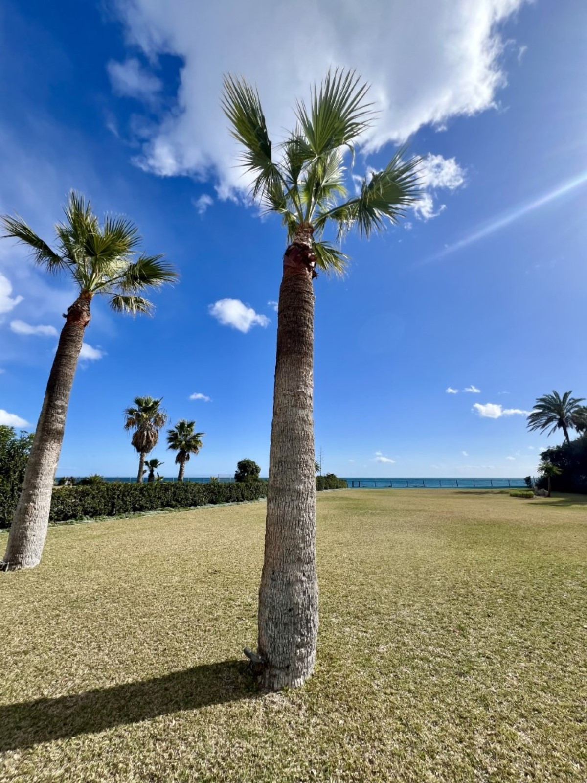 5 кровать 5 ванна Вилла для продажи в Guadalmina Baja, San Pedro de Alcántara