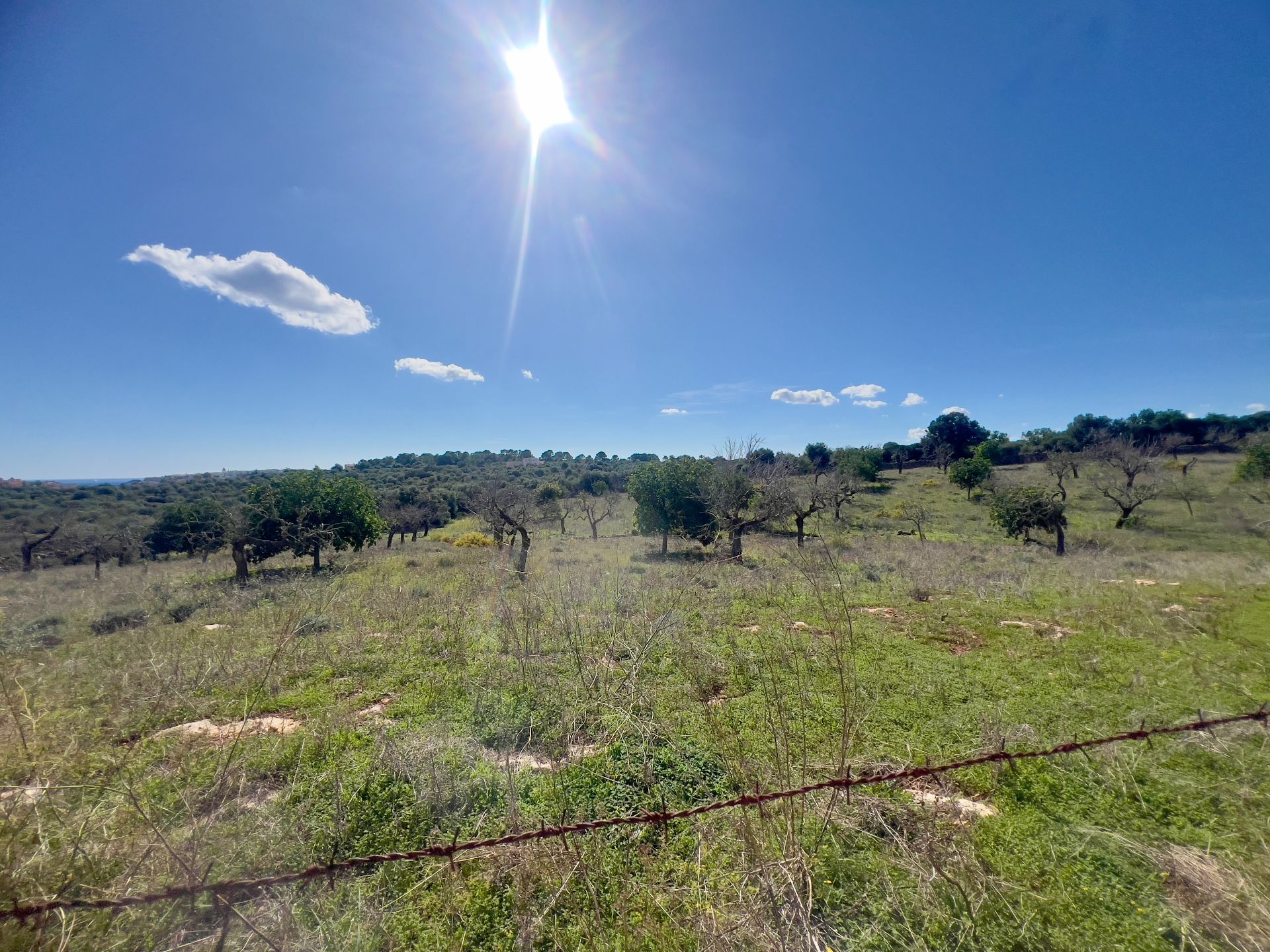 Terreno en venta en Manacor