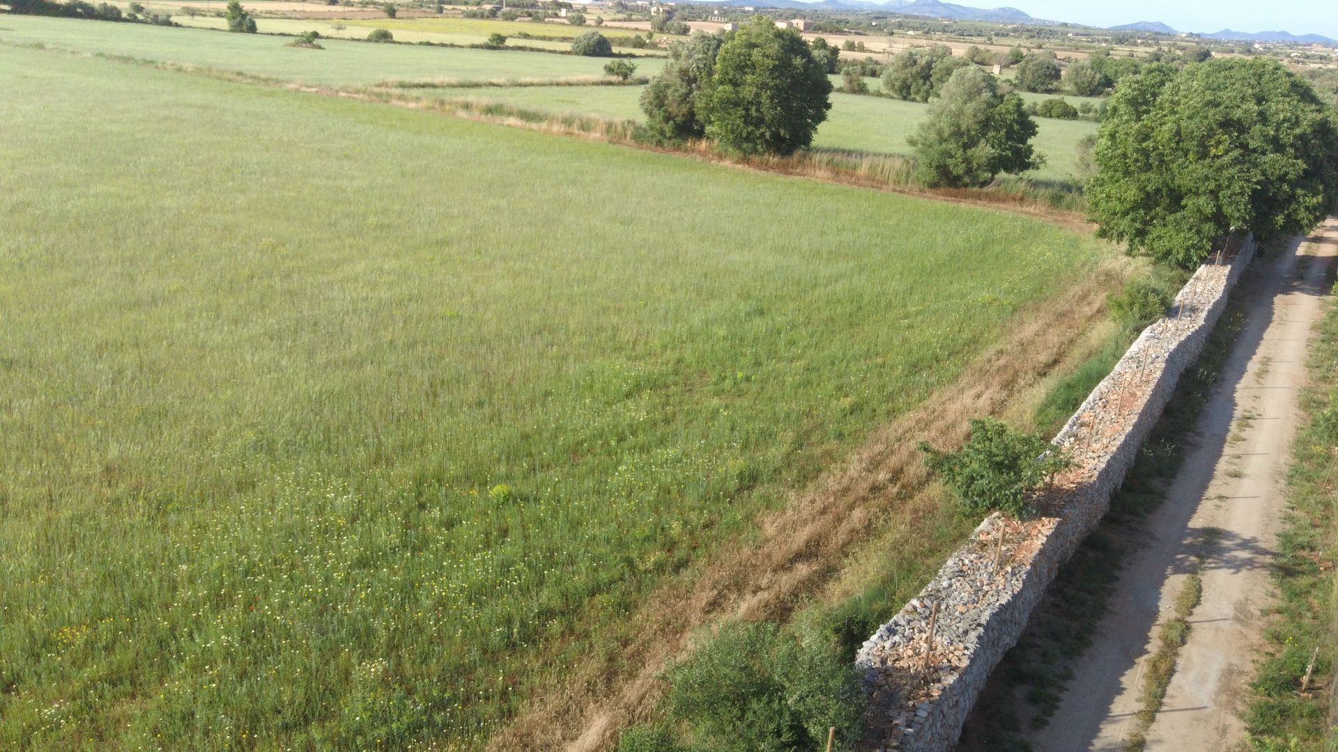 Terreno en venta en Felanitx