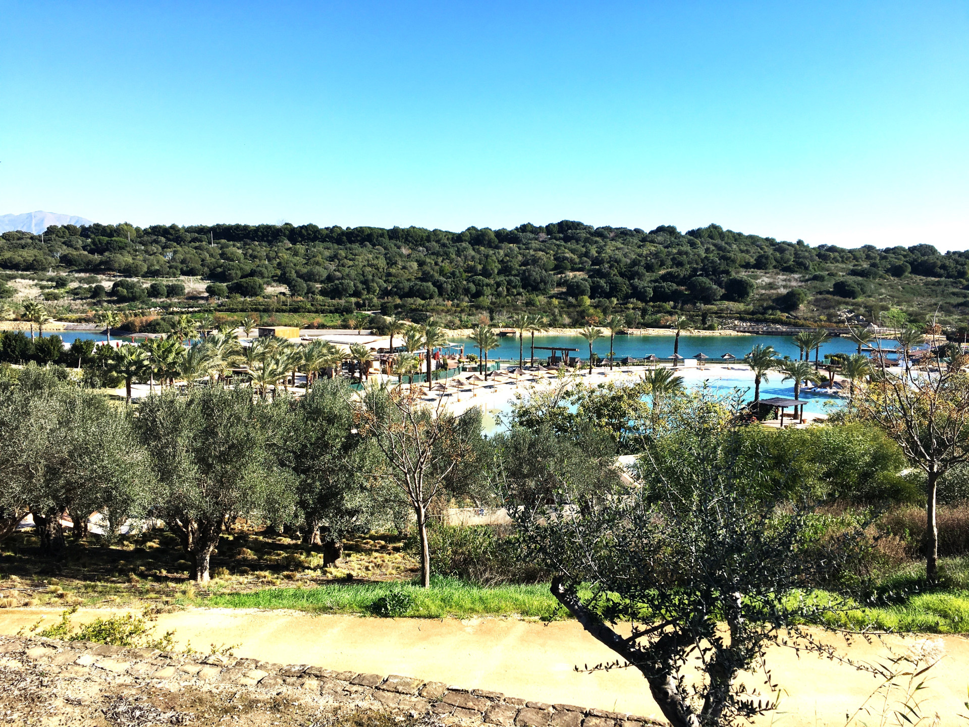 Plot for Sale in Sotogrande