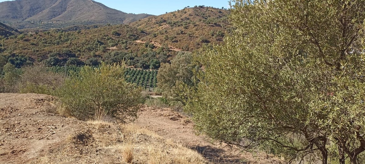 Селска къща за продажба в Campo Mijas