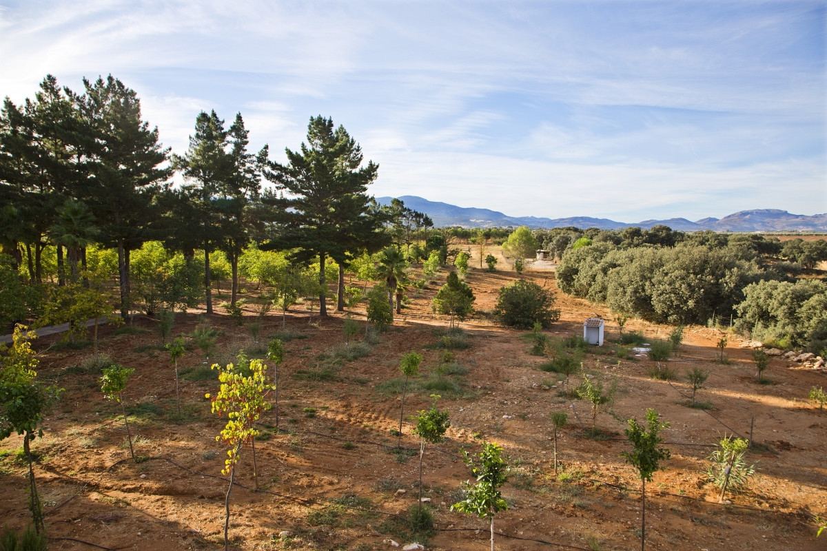 Finca de 3 Dormitorios en venta en Ronda