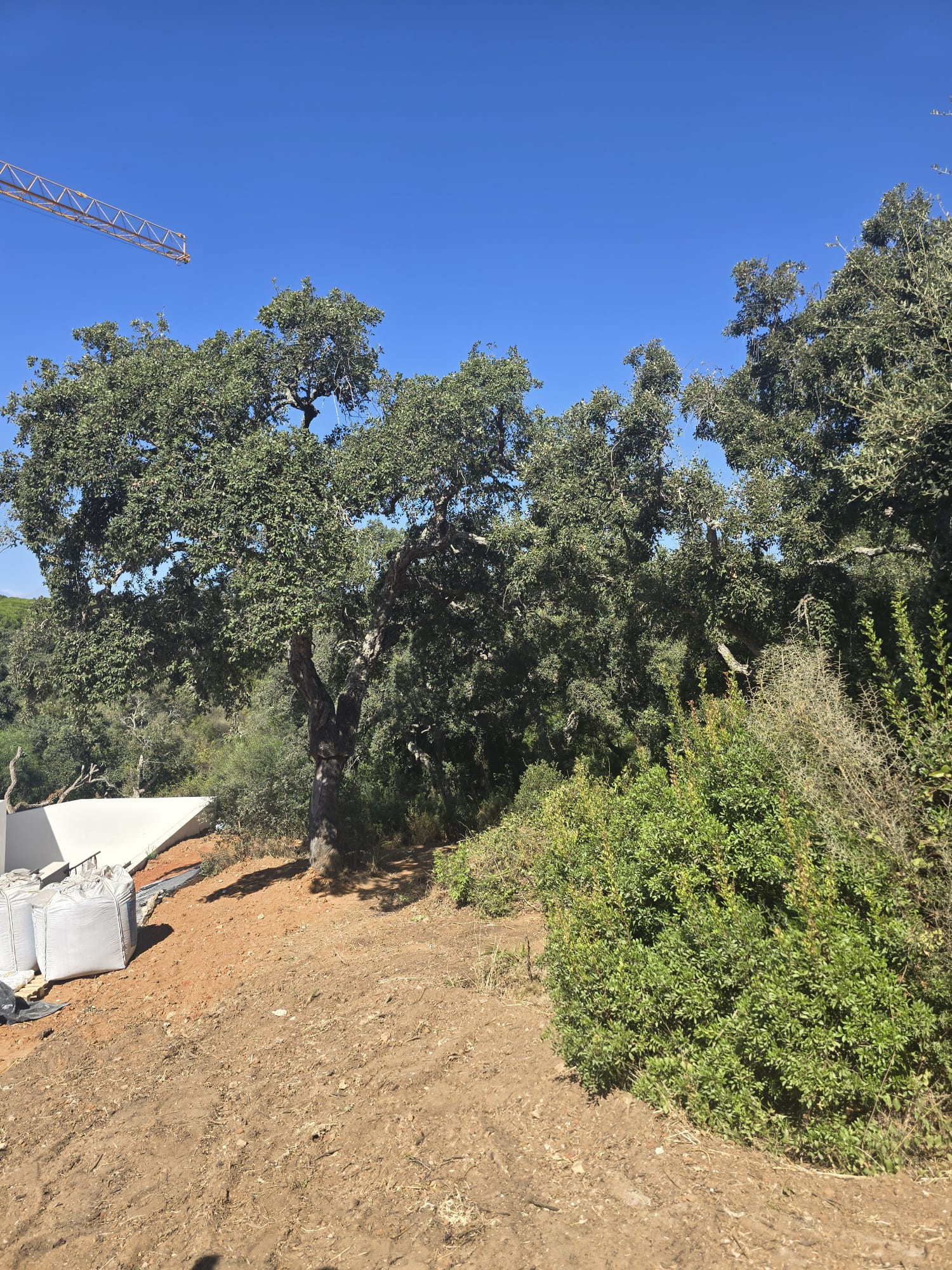 Terreno en venta en Sotogrande
