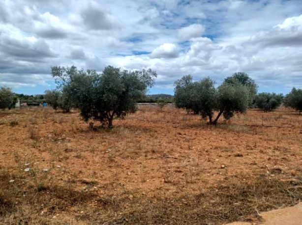 Finca de 3 Dormitorios en venta en Felanitx