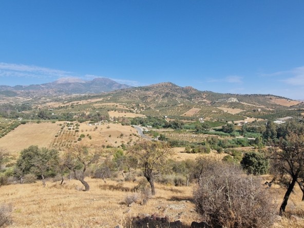 Terreno en venta en Guaro