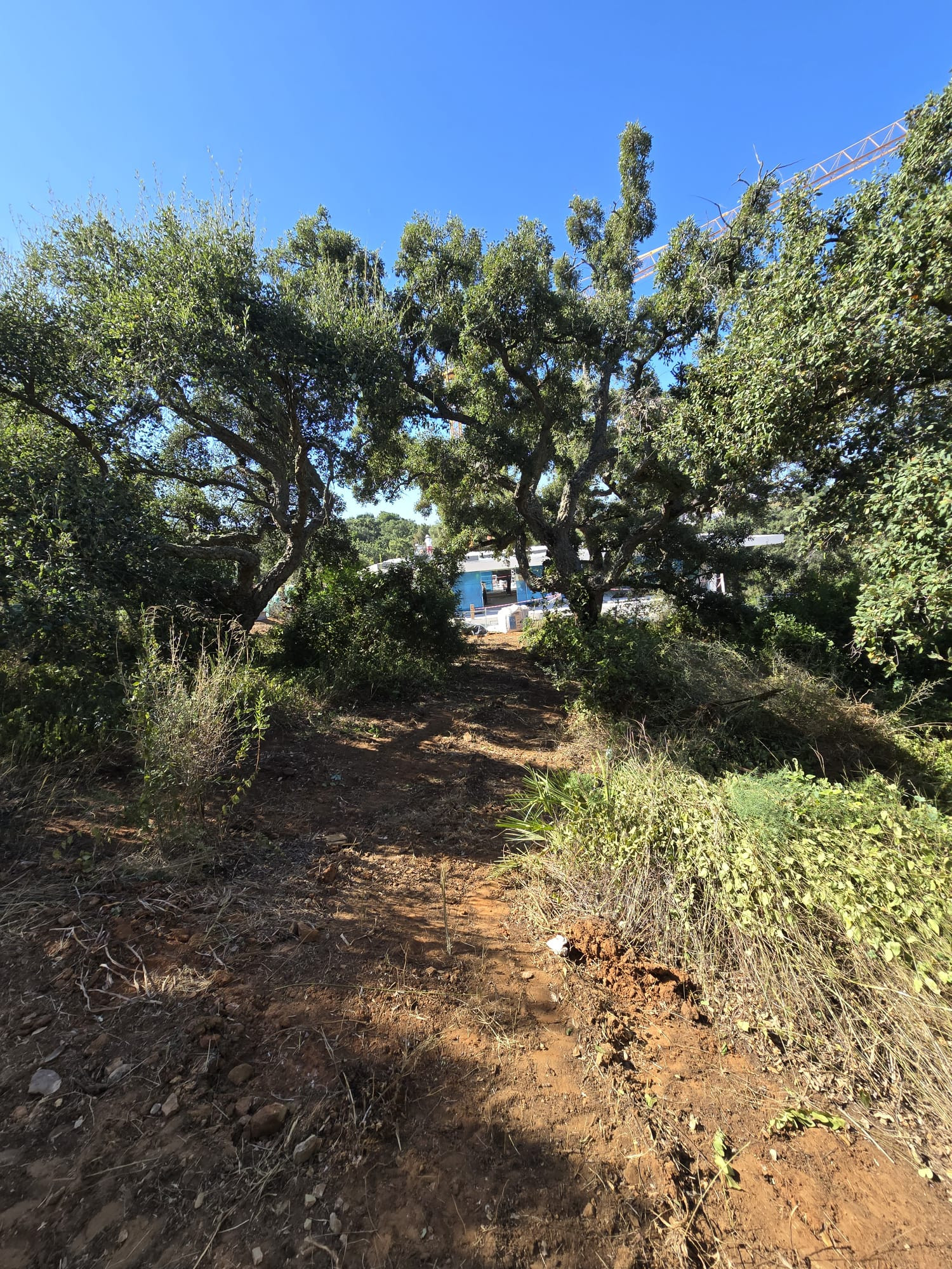 Terreno en venta en Sotogrande