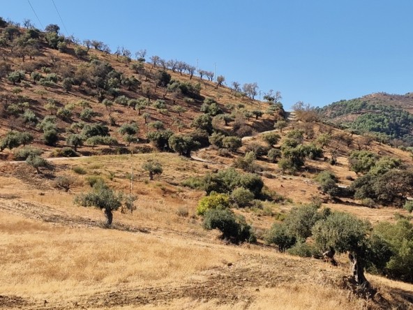 Terreno en venta en Guaro