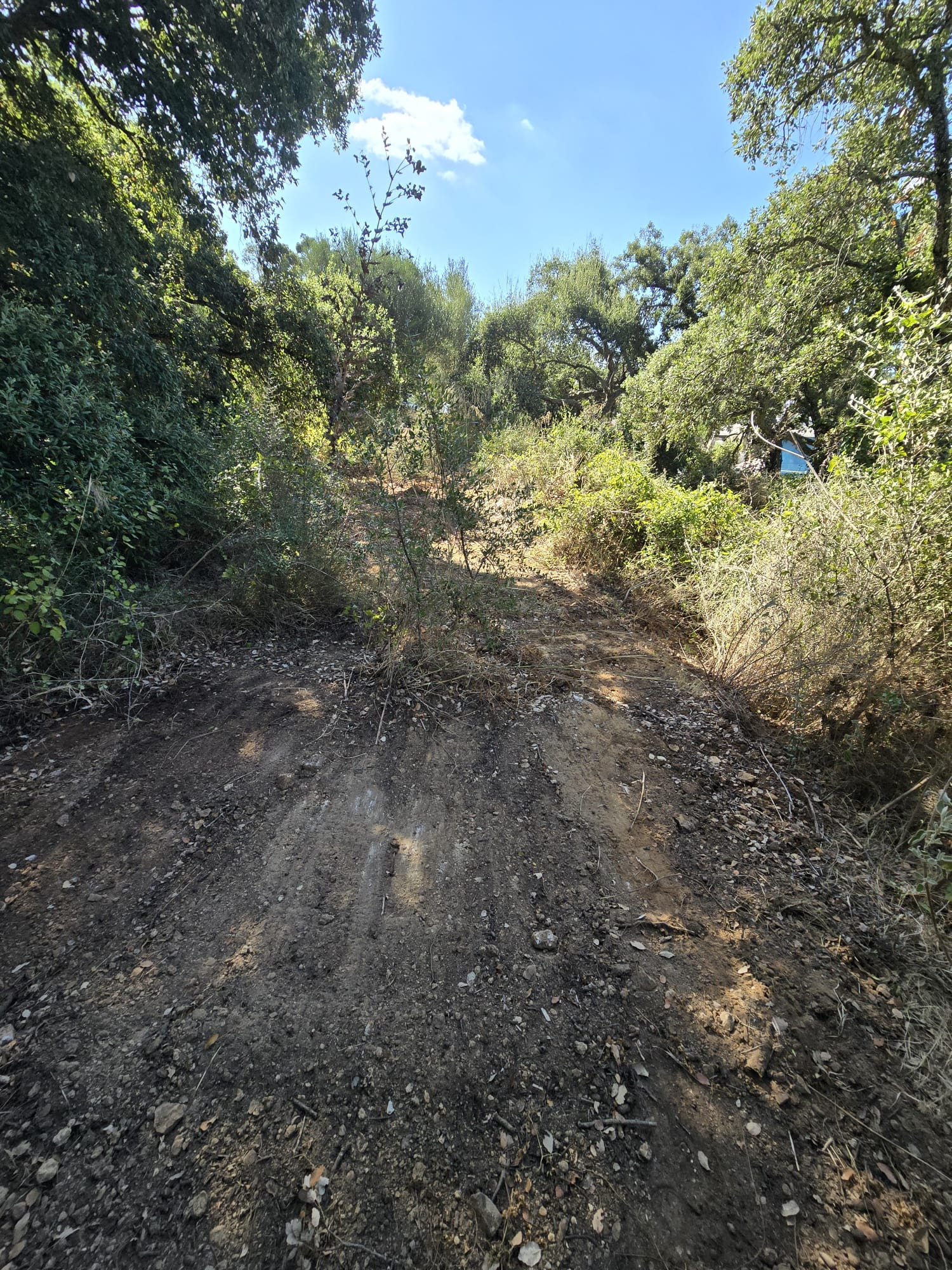 Terreno en venta en Sotogrande