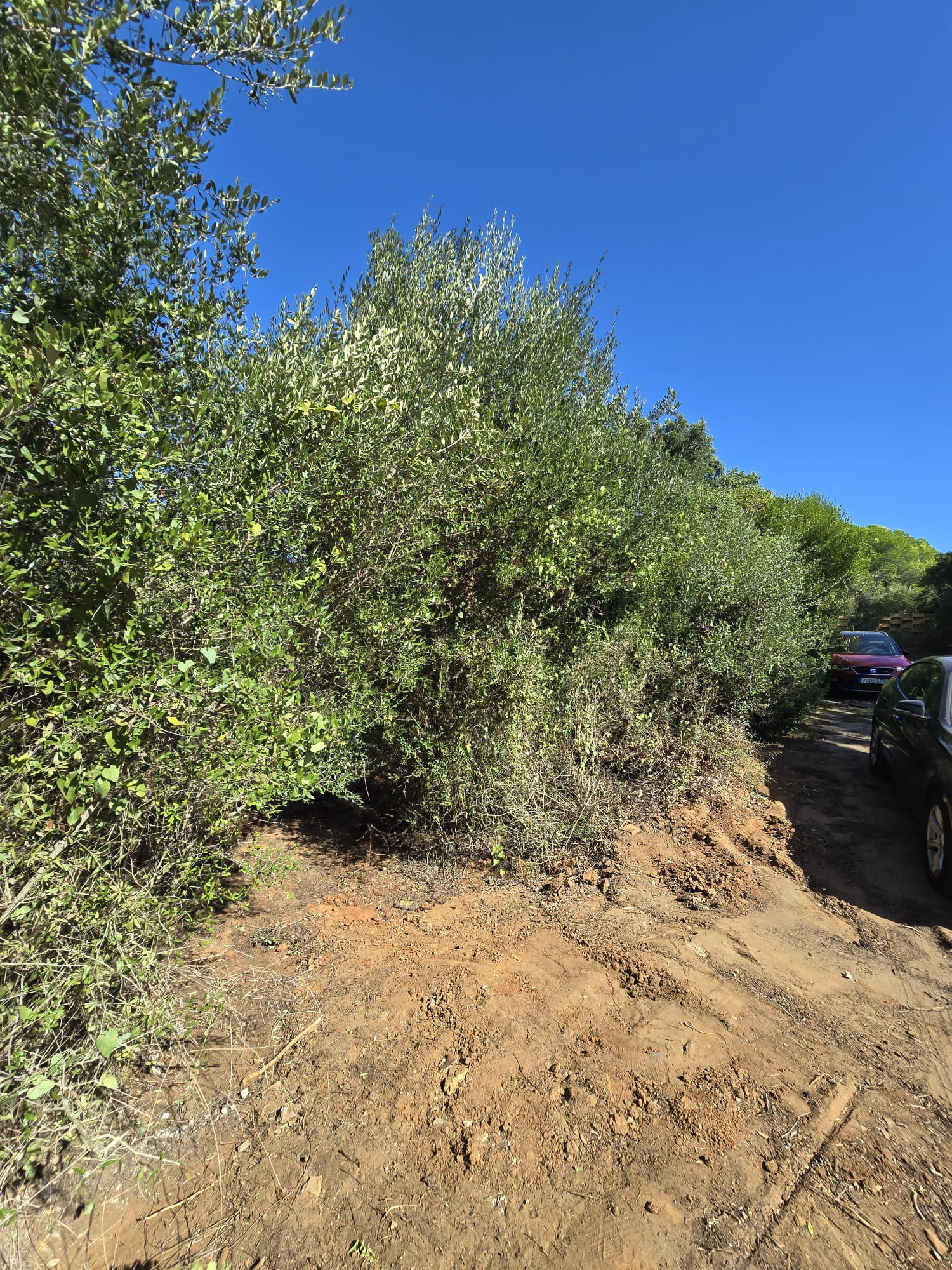 Terreno en venta en Sotogrande